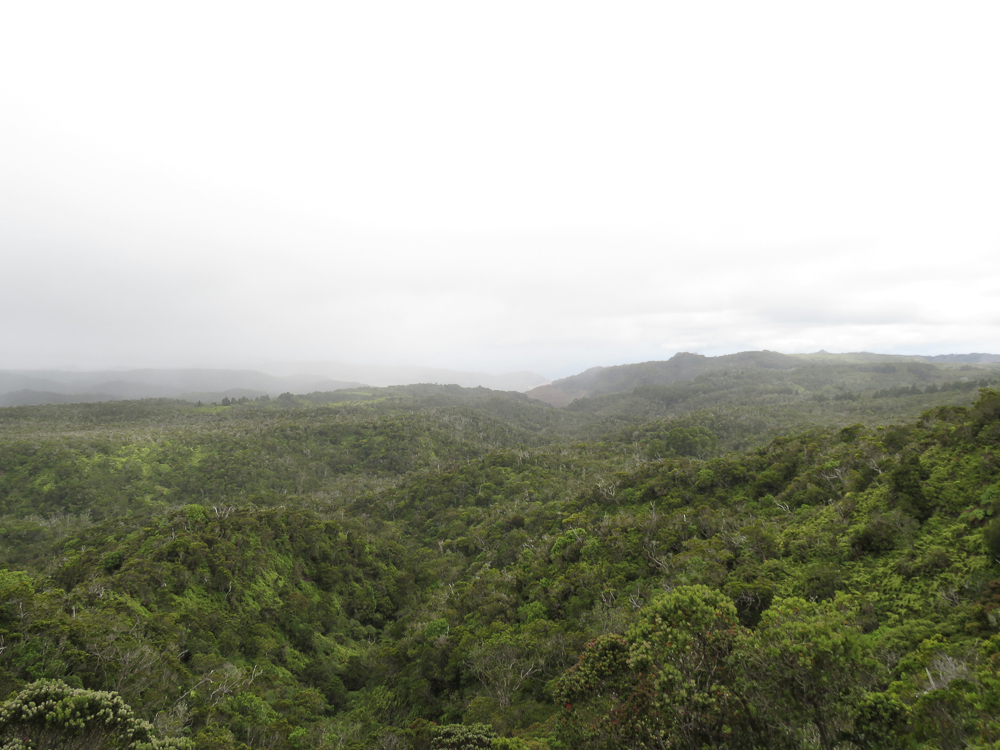 Makaala Farmsteads — aerial view